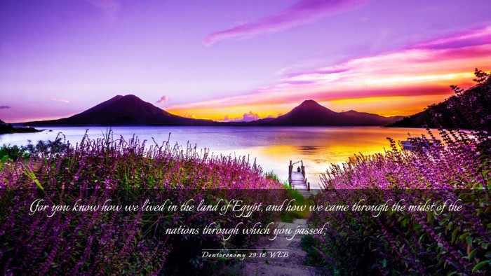 Picture 03 - Deuteronomy 29:16 WEB Desktop Wallpaper - (for you know how we lived in the land of Egypt, - Desktop Bible Verse Wallpaper