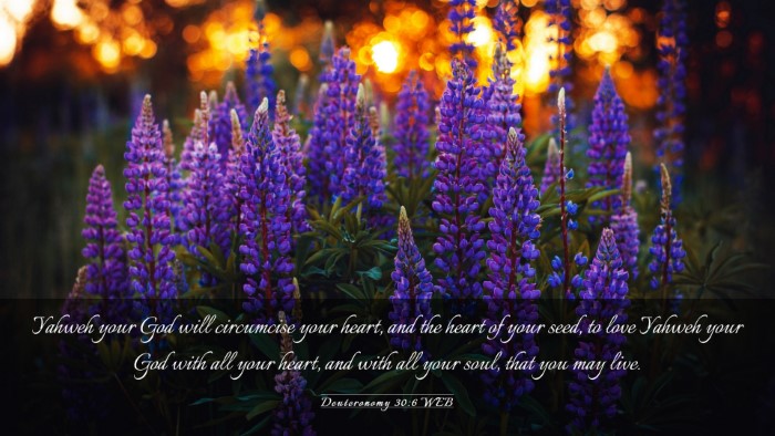 Picture 03 - Deuteronomy 30:6 WEB Desktop Wallpaper - Yahweh your God will circumcise your heart, and - Desktop Bible Verse Wallpaper