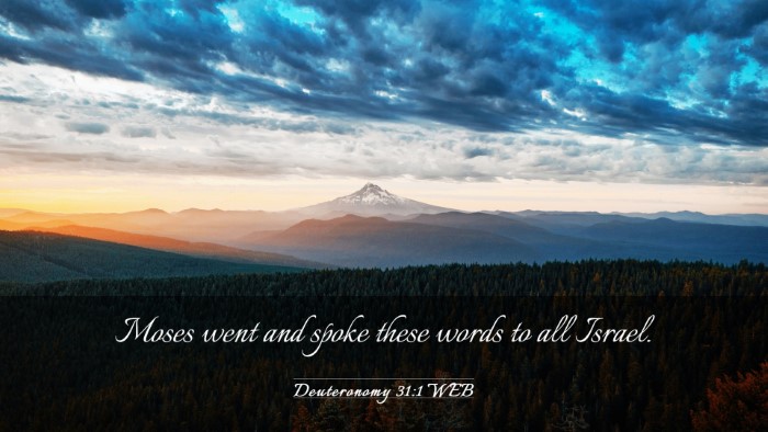 Picture 03 - Deuteronomy 31:1 WEB Desktop Wallpaper - Moses went and spoke these words to all - Desktop Bible Verse Wallpaper