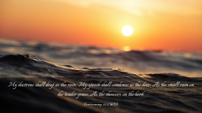 Picture 03 - Deuteronomy 32:2 WEB Desktop Wallpaper - My doctrine shall drop as the rain; My speech - Desktop Bible Verse Wallpaper