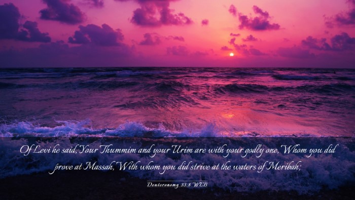 Picture 03 - Deuteronomy 33:8 WEB Desktop Wallpaper - Of Levi he said, Your Thummim and your Urim are - Desktop Bible Verse Wallpaper