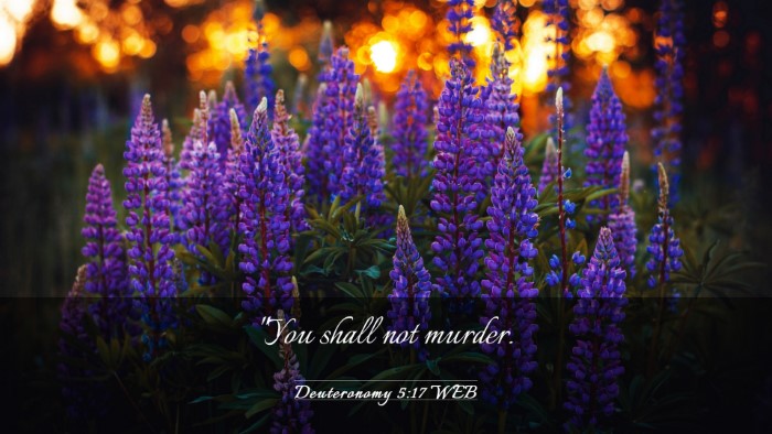 Picture 03 - Deuteronomy 5:17 WEB Desktop Wallpaper - 