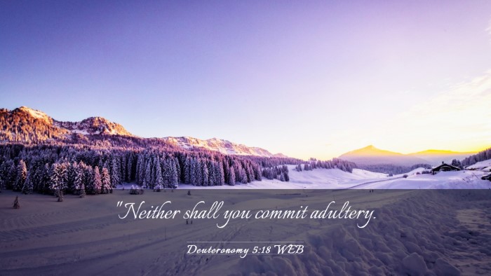 Picture 03 - Deuteronomy 5:18 WEB Desktop Wallpaper - 