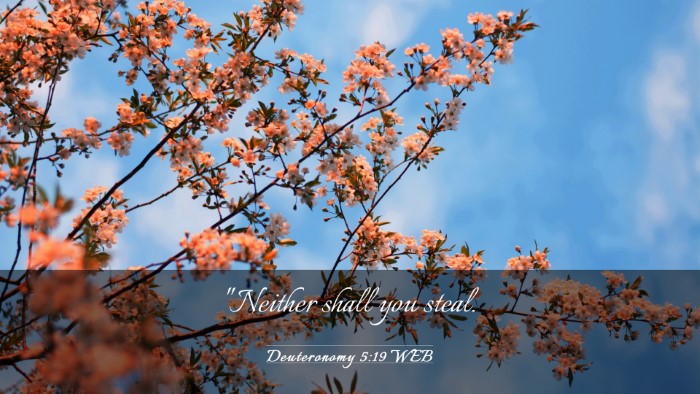 Picture 03 - Deuteronomy 5:19 WEB Desktop Wallpaper - 