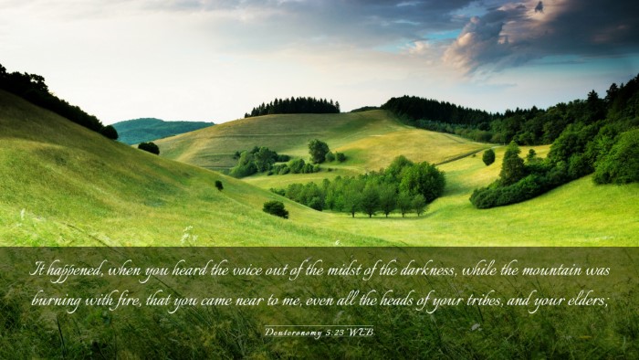 Picture 03 - Deuteronomy 5:23 WEB Desktop Wallpaper - It happened, when you heard the voice out of the - Desktop Bible Verse Wallpaper