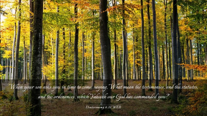 Picture 03 - Deuteronomy 6:20 WEB Desktop Wallpaper - When your son asks you in time to come, saying, - Desktop Bible Verse Wallpaper