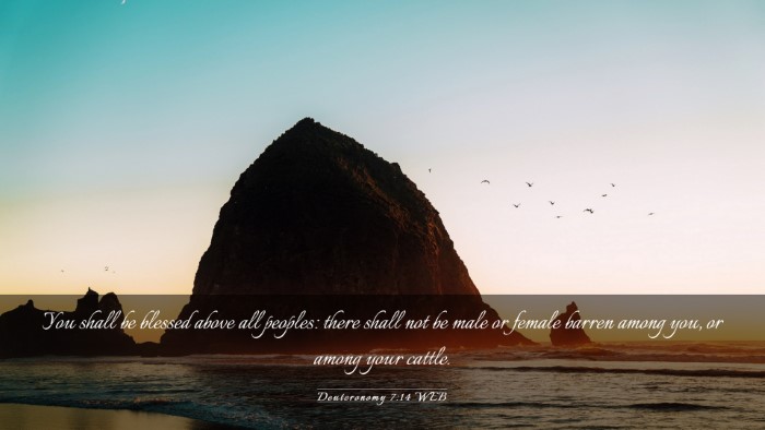 Picture 03 - Deuteronomy 7:14 WEB Desktop Wallpaper - You shall be blessed above all peoples: there - Desktop Bible Verse Wallpaper