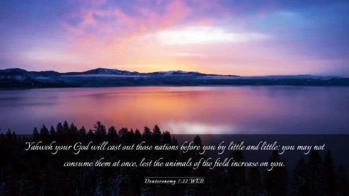 Picture 03 - Deuteronomy 7:22 WEB Desktop Wallpaper - Yahweh your God will cast out those nations - Desktop Bible Verse Wallpaper