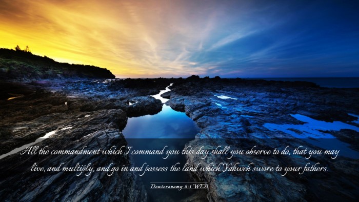 Picture 03 - Deuteronomy 8:1 WEB Desktop Wallpaper - All the commandment which I command you this day - Desktop Bible Verse Wallpaper