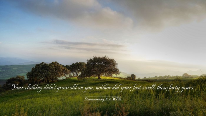 Picture 03 - Deuteronomy 8:4 WEB Desktop Wallpaper - Your clothing didn't grow old on you, neither did - Desktop Bible Verse Wallpaper
