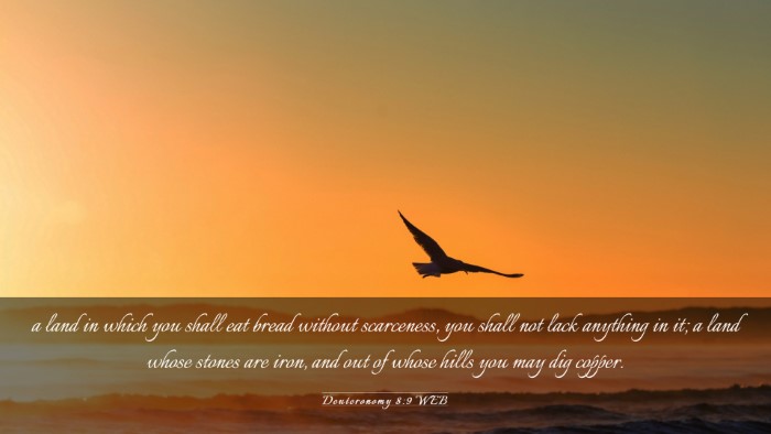 Picture 03 - Deuteronomy 8:9 WEB Desktop Wallpaper - a land in which you shall eat bread without - Desktop Bible Verse Wallpaper