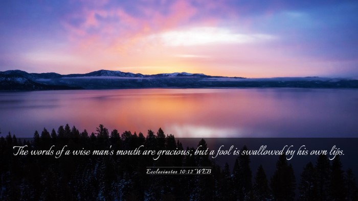 Picture 03 - Ecclesiastes 10:12 WEB Desktop Wallpaper - The words of a wise man's mouth are gracious; but - Desktop Bible Verse Wallpaper