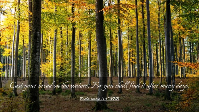 Picture 03 - Ecclesiastes 11:1 WEB Desktop Wallpaper - Cast your bread on the waters; For you shall find - Desktop Bible Verse Wallpaper