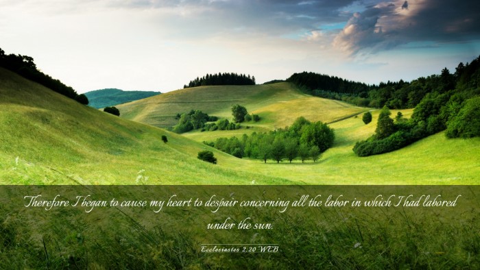 Picture 03 - Ecclesiastes 2:20 WEB Desktop Wallpaper - Therefore I began to cause my heart to despair - Desktop Bible Verse Wallpaper