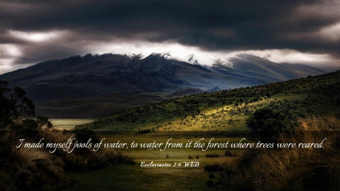 Picture 03 - Ecclesiastes 2:6 WEB Desktop Wallpaper - I made myself pools of water, to water from it - Desktop Bible Verse Wallpaper