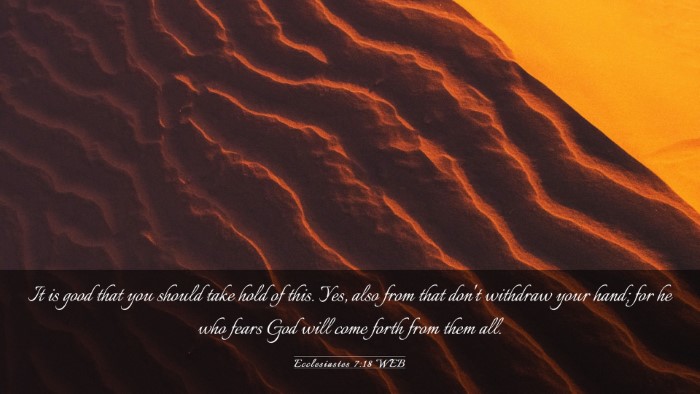 Picture 03 - Ecclesiastes 7:18 WEB Desktop Wallpaper - It is good that you should take hold of this. - Desktop Bible Verse Wallpaper
