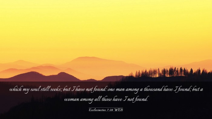 Picture 03 - Ecclesiastes 7:28 WEB Desktop Wallpaper - which my soul still seeks; but I have not found: - Desktop Bible Verse Wallpaper