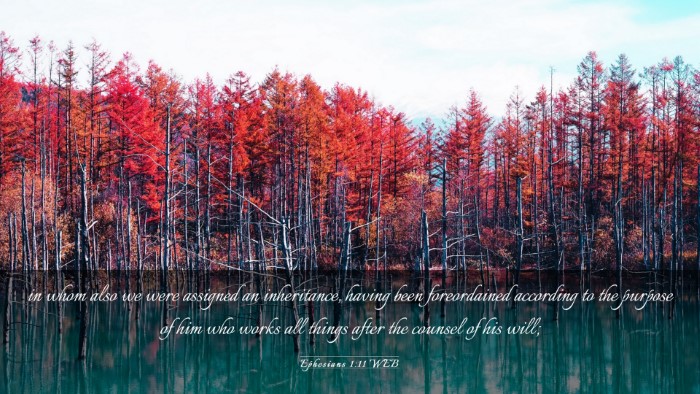 Picture 03 - Ephesians 1:11 WEB Desktop Wallpaper - in whom also we were assigned an inheritance, - Desktop Bible Verse Wallpaper