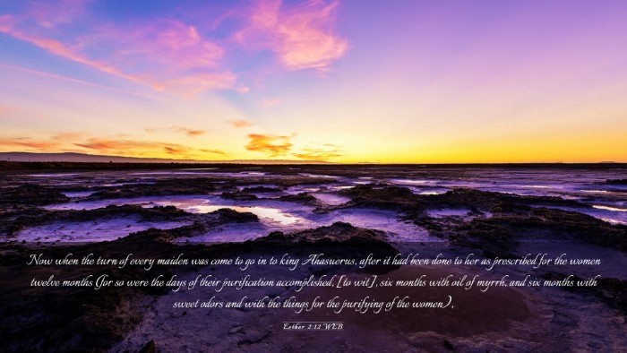 Picture 03 - Esther 2:12 WEB Desktop Wallpaper - Now when the turn of every maiden was come to go - Desktop Bible Verse Wallpaper