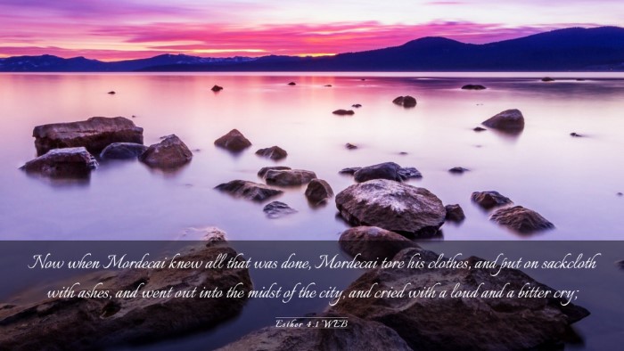 Picture 03 - Esther 4:1 WEB Desktop Wallpaper - Now when Mordecai knew all that was done, - Desktop Bible Verse Wallpaper