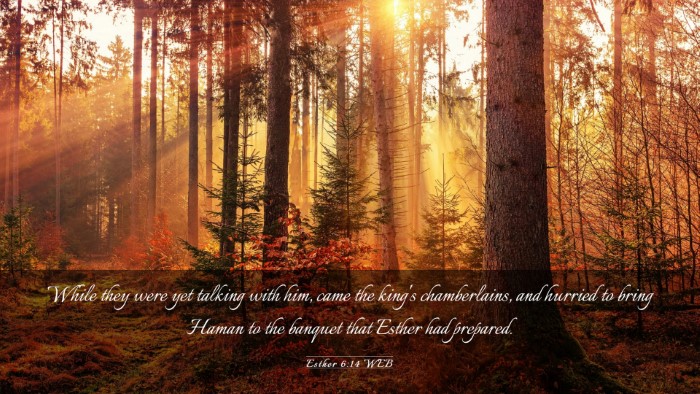 Picture 03 - Esther 6:14 WEB Desktop Wallpaper - While they were yet talking with him, came the - Desktop Bible Verse Wallpaper