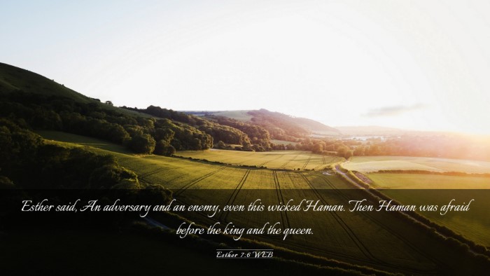 Picture 03 - Esther 7:6 WEB Desktop Wallpaper - Esther said, An adversary and an enemy, even this - Desktop Bible Verse Wallpaper