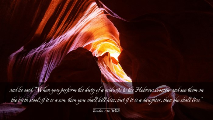 Picture 03 - Exodus 1:16 WEB Desktop Wallpaper - and he said, 