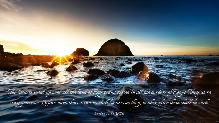 Picture 03 - Exodus 10:14 WEB Desktop Wallpaper - The locusts went up over all the land of Egypt, - Desktop Bible Verse Wallpaper