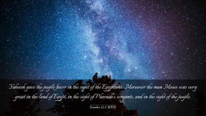 Picture 03 - Exodus 11:3 WEB Desktop Wallpaper - Yahweh gave the people favor in the sight of the - Desktop Bible Verse Wallpaper
