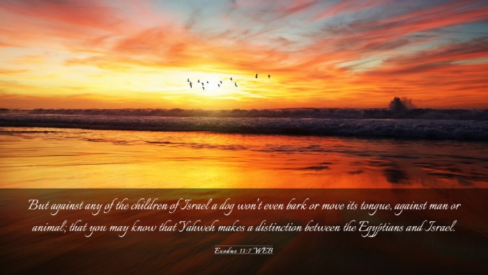 Picture 03 - Exodus 11:7 WEB Desktop Wallpaper - But against any of the children of Israel a dog - Desktop Bible Verse Wallpaper