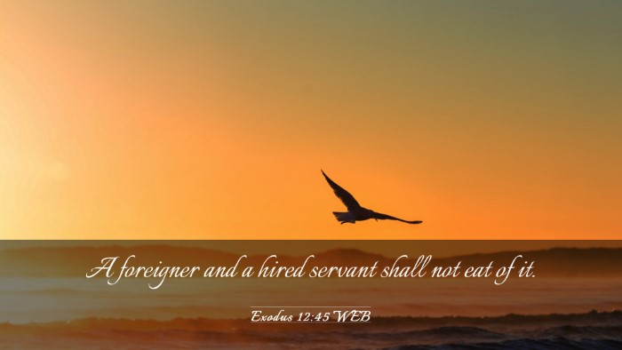 Picture 03 - Exodus 12:45 WEB Desktop Wallpaper - A foreigner and a hired servant shall not eat of - Desktop Bible Verse Wallpaper