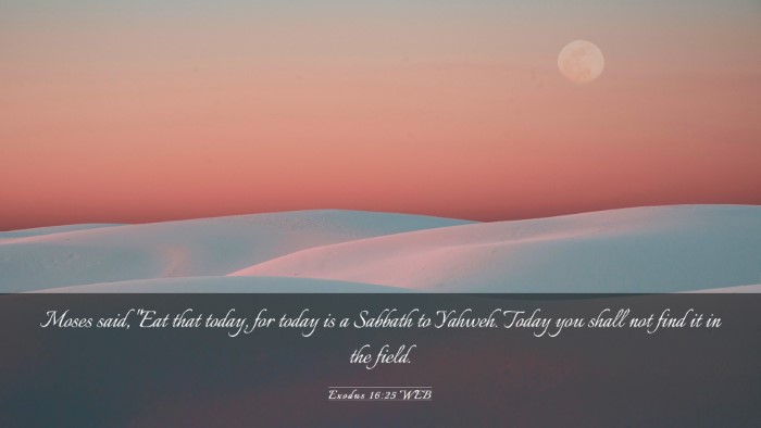 Picture 03 - Exodus 16:25 WEB Desktop Wallpaper - Moses said, 