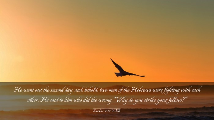 Picture 03 - Exodus 2:13 WEB Desktop Wallpaper - He went out the second day, and, behold, two men - Desktop Bible Verse Wallpaper