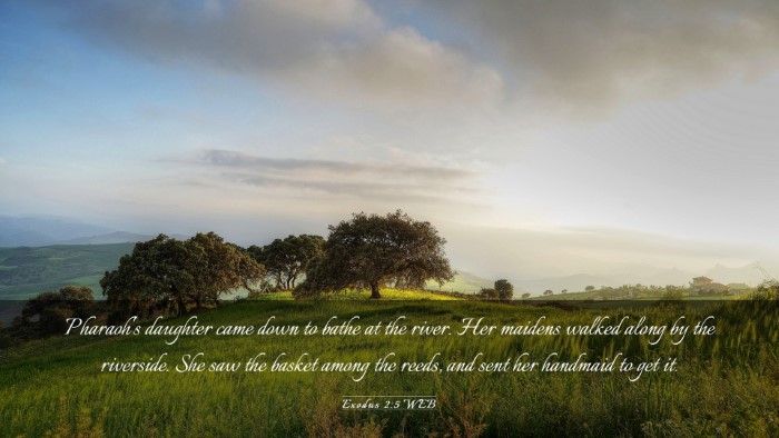 Picture 03 - Exodus 2:5 WEB Desktop Wallpaper - Pharaoh's daughter came down to bathe at the - Desktop Bible Verse Wallpaper