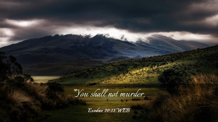 Picture 03 - Exodus 20:13 WEB Desktop Wallpaper - 