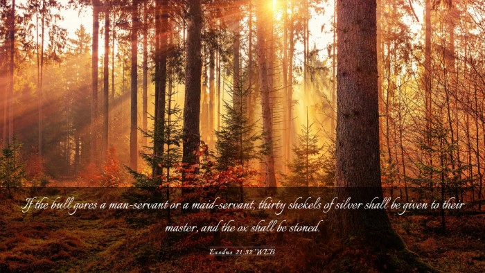Picture 03 - Exodus 21:32 WEB Desktop Wallpaper - If the bull gores a man-servant or a - Desktop Bible Verse Wallpaper