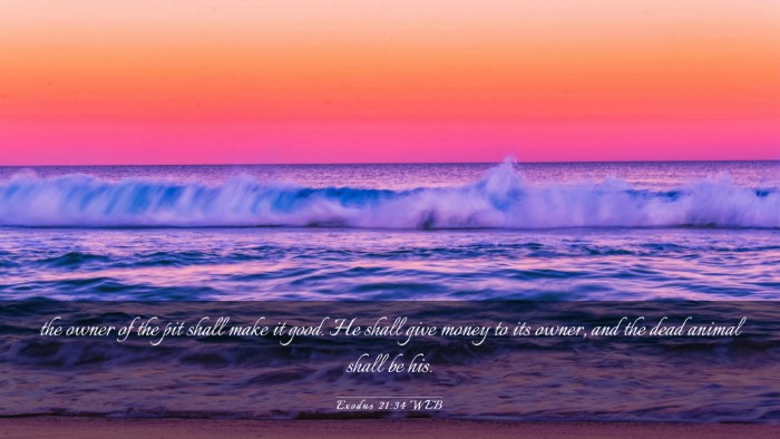 Picture 03 - Exodus 21:34 WEB Desktop Wallpaper - the owner of the pit shall make it good. He shall - Desktop Bible Verse Wallpaper