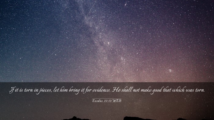 Picture 03 - Exodus 22:13 WEB Desktop Wallpaper - If it is torn in pieces, let him bring it for - Desktop Bible Verse Wallpaper