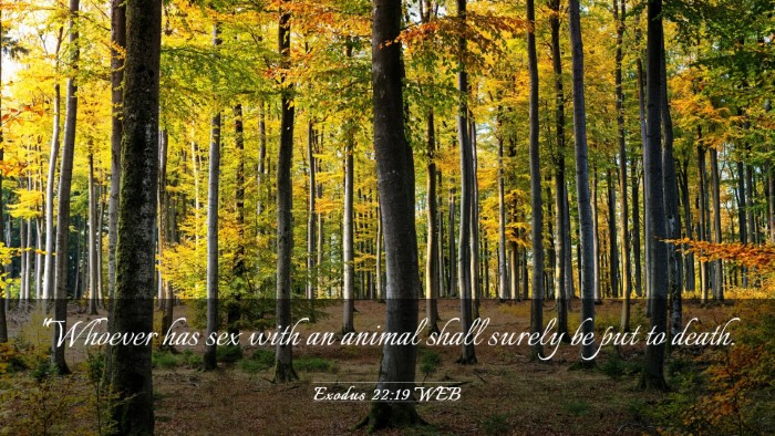 Picture 03 - Exodus 22:19 WEB Desktop Wallpaper - 
