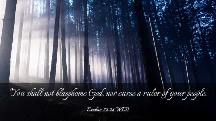 Picture 03 - Exodus 22:28 WEB Desktop Wallpaper - 