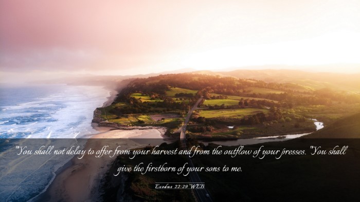 Picture 03 - Exodus 22:29 WEB Desktop Wallpaper - 