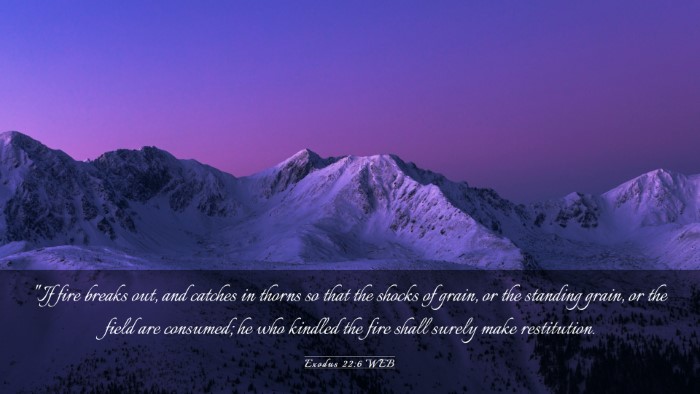 Picture 03 - Exodus 22:6 WEB Desktop Wallpaper - 