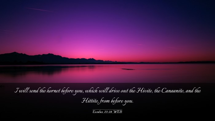 Picture 03 - Exodus 23:28 WEB Desktop Wallpaper - I will send the hornet before you, which will - Desktop Bible Verse Wallpaper