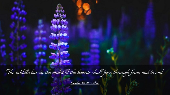 Picture 03 - Exodus 26:28 WEB Desktop Wallpaper - The middle bar in the midst of the boards shall - Desktop Bible Verse Wallpaper