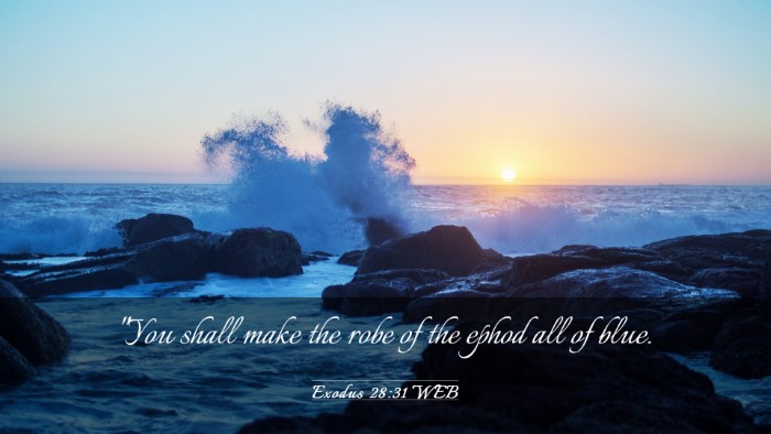 Picture 03 - Exodus 28:31 WEB Desktop Wallpaper - 