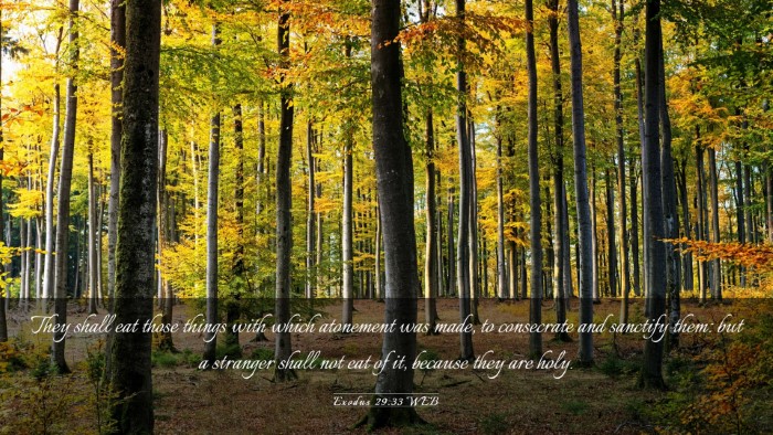Picture 03 - Exodus 29:33 WEB Desktop Wallpaper - They shall eat those things with which atonement - Desktop Bible Verse Wallpaper