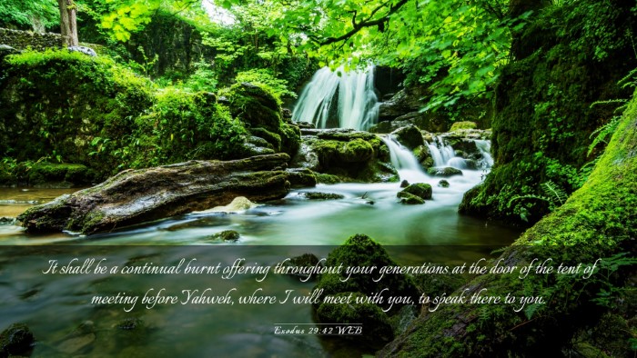 Picture 03 - Exodus 29:42 WEB Desktop Wallpaper - It shall be a continual burnt offering throughout - Desktop Bible Verse Wallpaper