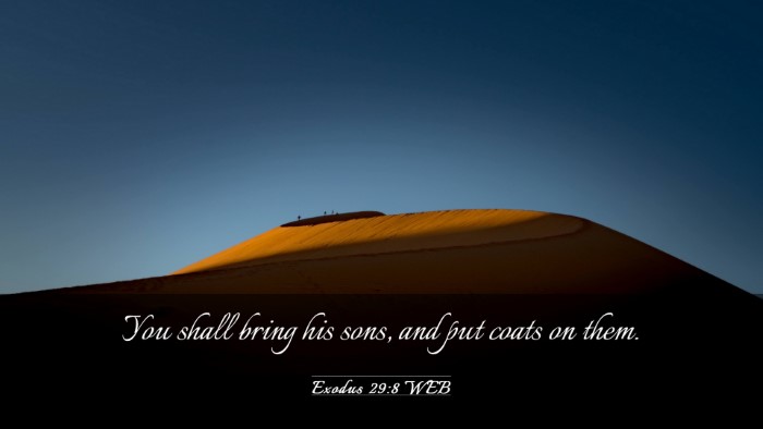 Picture 03 - Exodus 29:8 WEB Desktop Wallpaper - You shall bring his sons, and put coats on - Desktop Bible Verse Wallpaper
