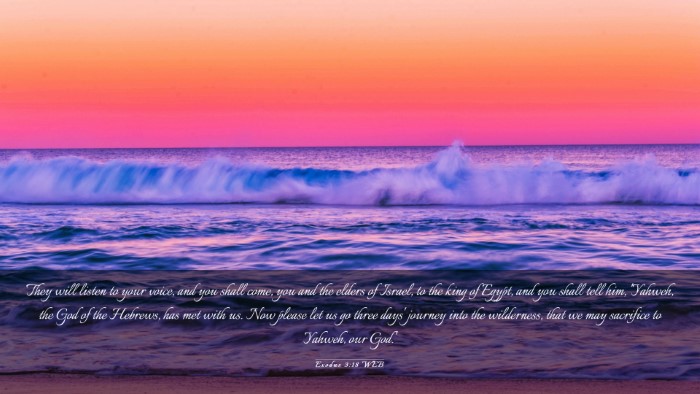 Picture 03 - Exodus 3:18 WEB Desktop Wallpaper - They will listen to your voice, and you shall - Desktop Bible Verse Wallpaper