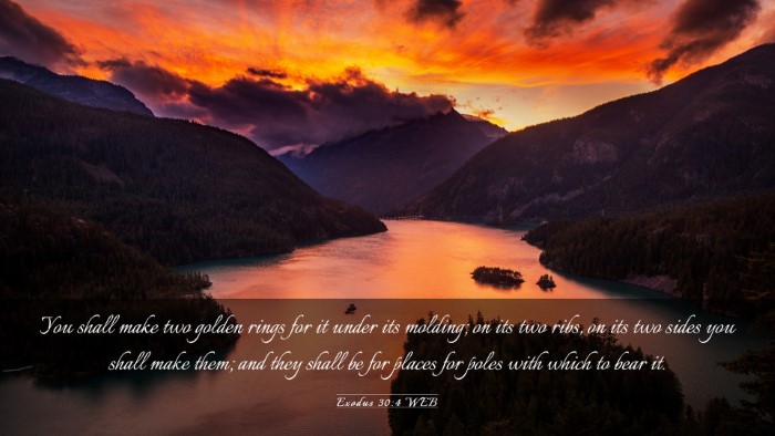Picture 03 - Exodus 30:4 WEB Desktop Wallpaper - You shall make two golden rings for it under its - Desktop Bible Verse Wallpaper